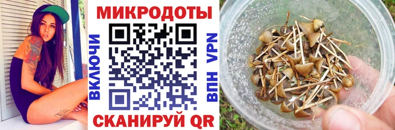 даркнет сайт  Коряжма  Галлюциногенные грибы MAGIC MUSHROOMS 